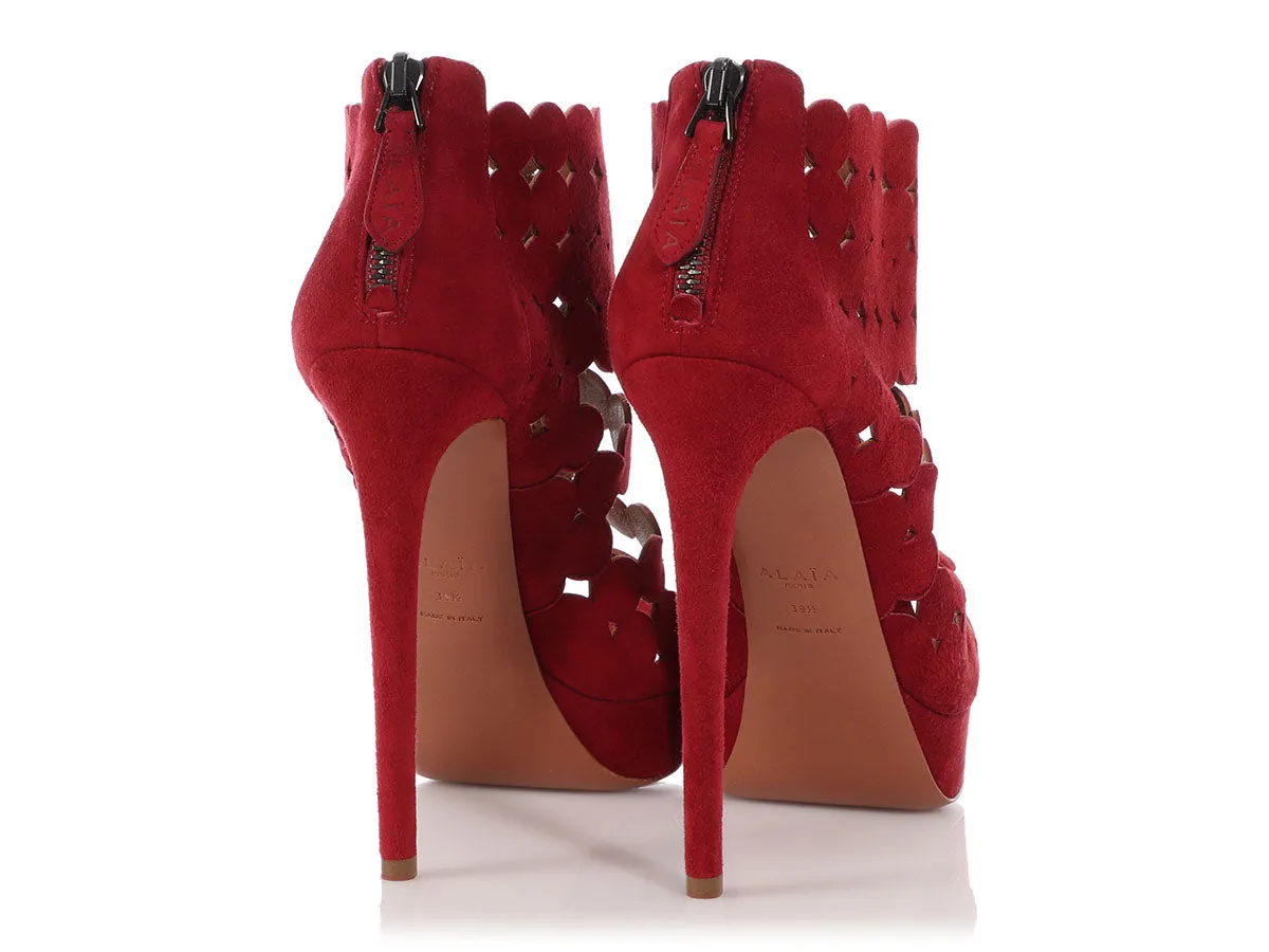 Alaïa Dark Red Suede Pumps