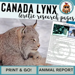 Canada lynx Animal Research Pages for learning about Arctic animals