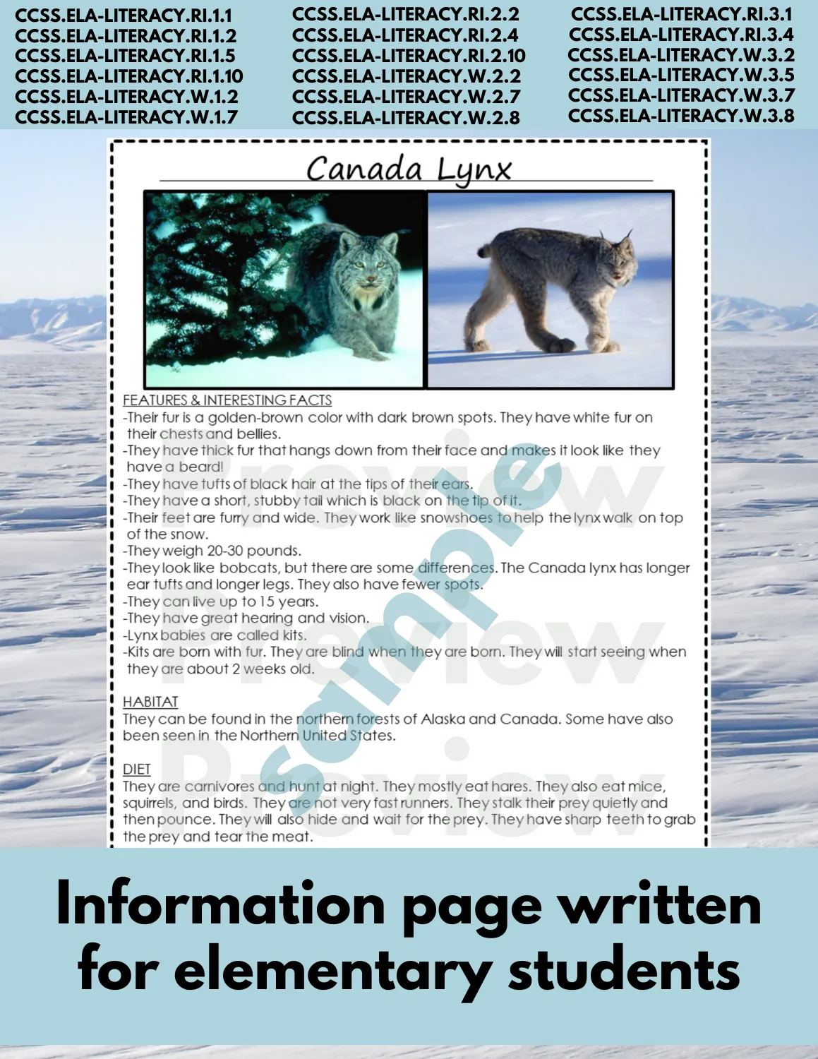 Canada lynx Animal Research Pages for learning about Arctic animals