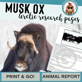 Musk oxen Animal Research Pages for animal research paper