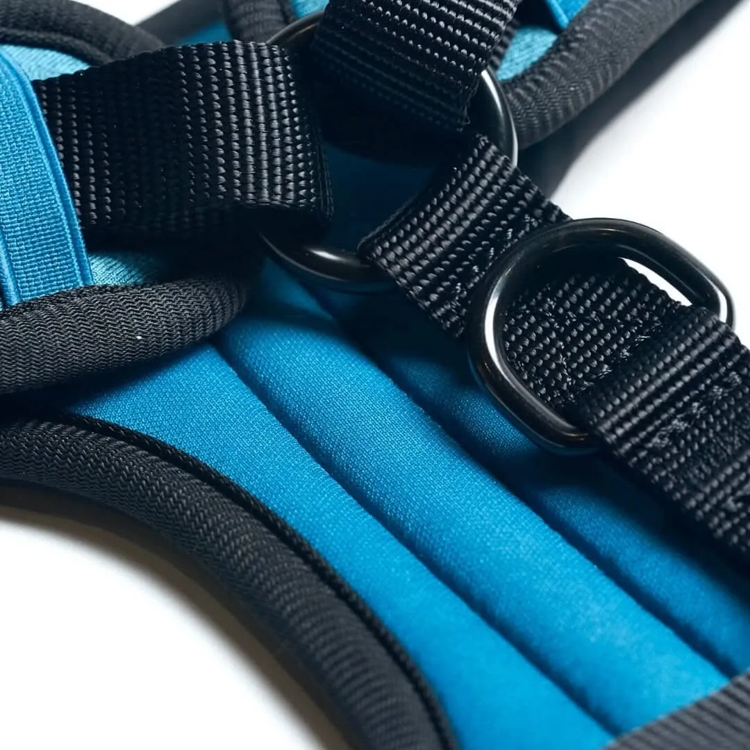 Ultra-Soft Activewear Harness - Blue [Size XS] dogs up to 5kg/10lbs