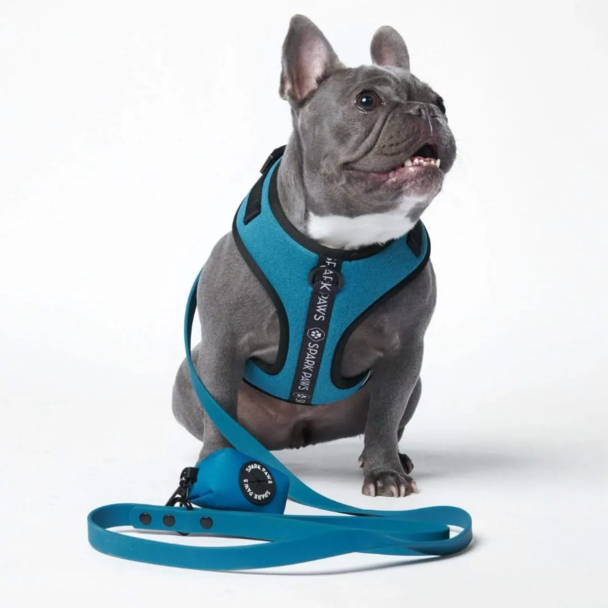 Ultra-Soft Activewear Harness - Blue [Size XS] dogs up to 5kg/10lbs